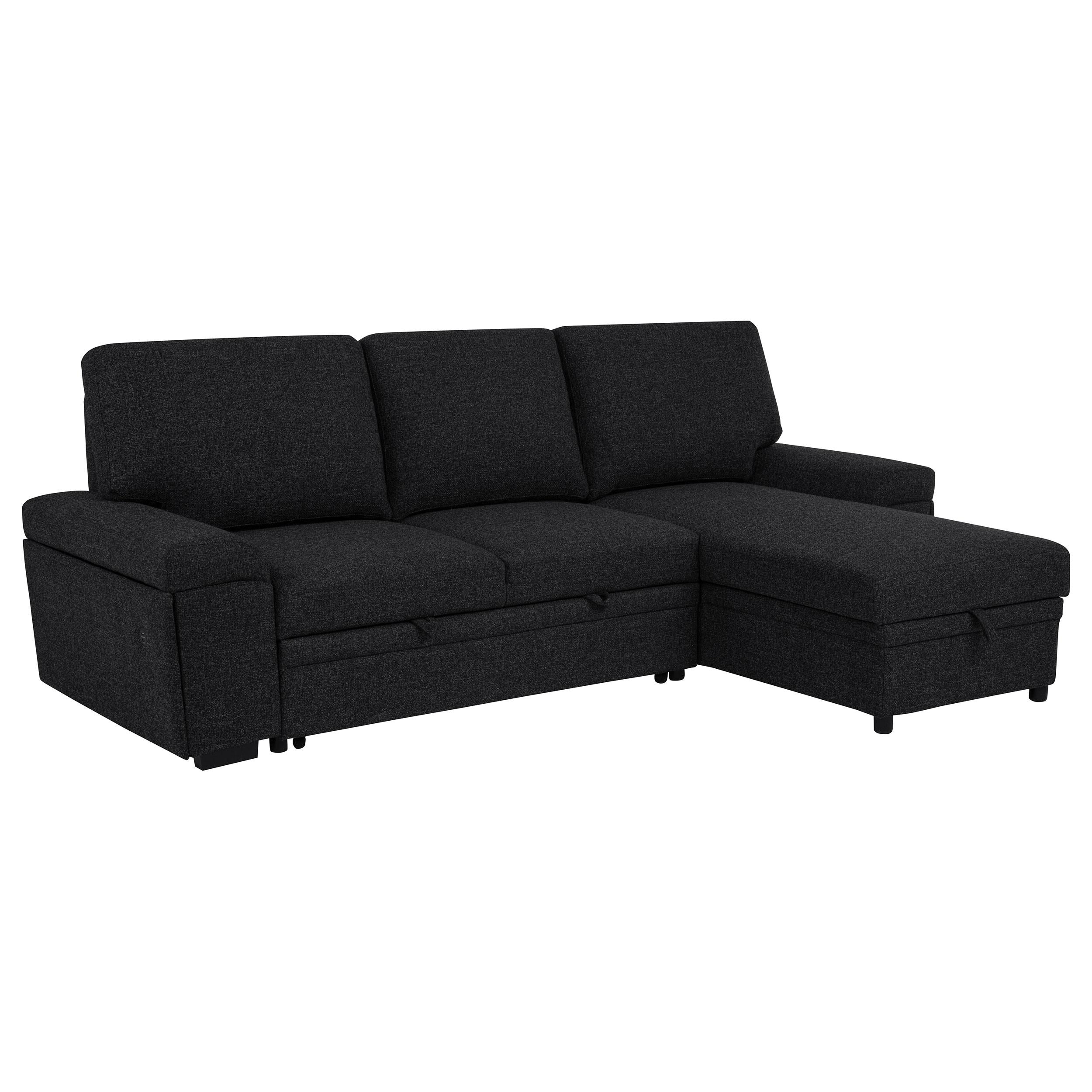 Coaster Furniture Demko 500357 Sleeper Sectional Sofa with Speaker and Storage Chaise - Black IMAGE 1